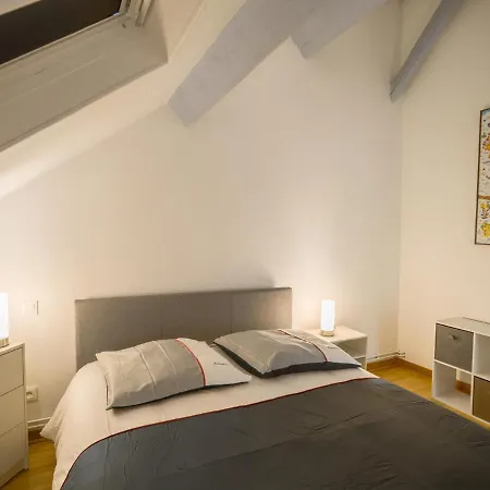 Apartment Le Duplex Pasteur - 5 Min Hypercentre - Ideal Groupe - Parking Gratuit Troyes